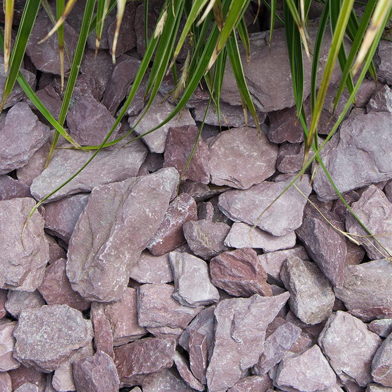 Canadian slate paars