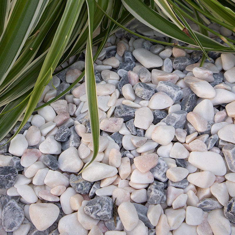 Frozen pink grind | Jouwtuinwinkel.nl.