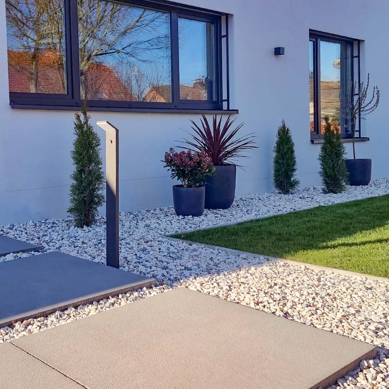 Frozen pink split | Jouwtuinwinkel.nl.