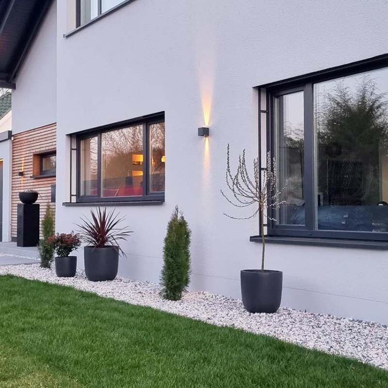 Frozen pink split | Jouwtuinwinkel.nl.