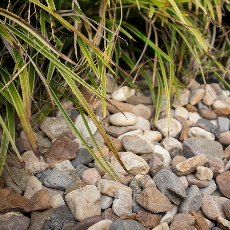 Maasgrind/ Boerengrind | Jouwtuinwinkel.nl.