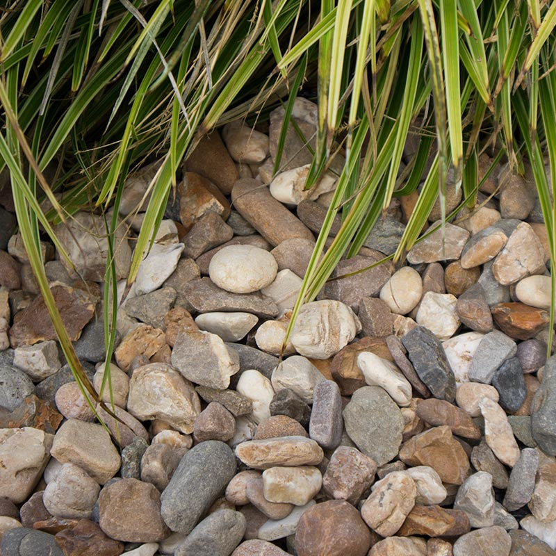 Maasgrind/ Boerengrind | Jouwtuinwinkel.nl.