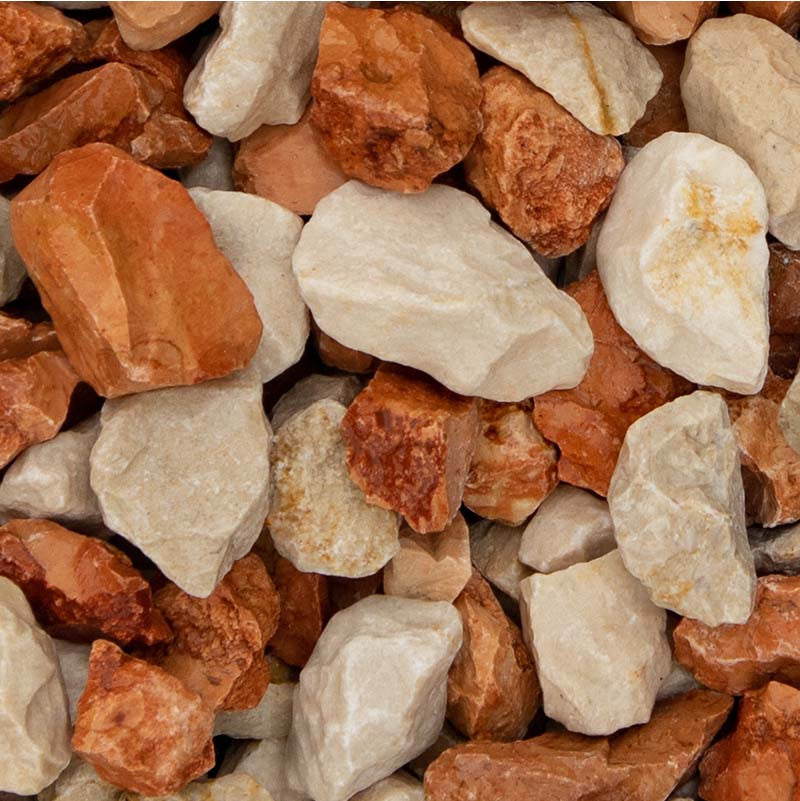 Mediterranea split | Jouwtuinwinkel.nl.