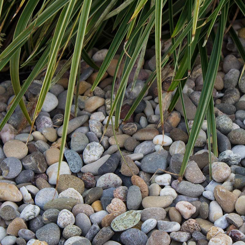 Moräne grind | Jouwtuinwinkel.nl.