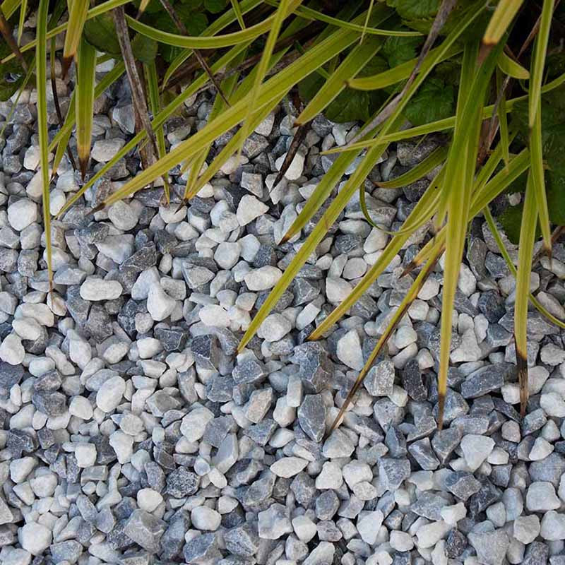 Polar blue split | Jouwtuinwinkel.nl.