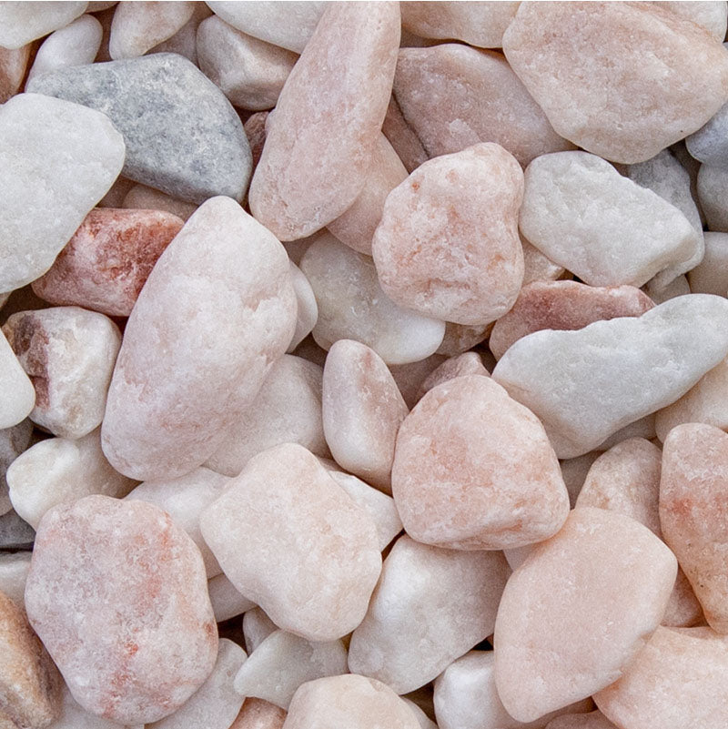 Rosa Milano grind | Jouwtuinwinkel.nl.