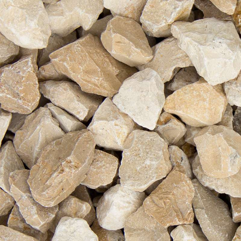 Yellow sun split | Jouwtuinwinkel.nl.