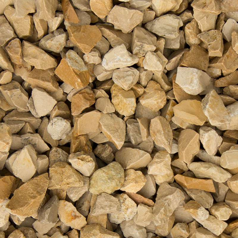 Yellow sun split | Jouwtuinwinkel.nl.