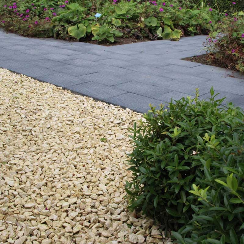 Yellow sun split | Jouwtuinwinkel.nl.