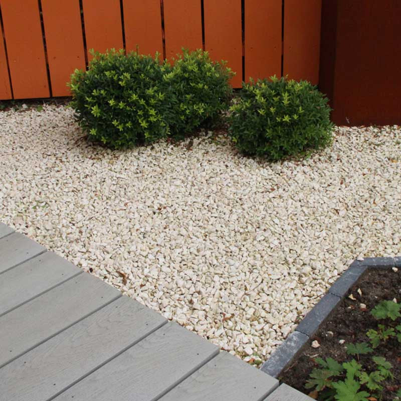 Yellow sun split | Jouwtuinwinkel.nl.