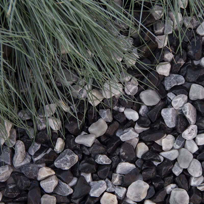 Zebra grind | Jouwtuinwinkel.nl.