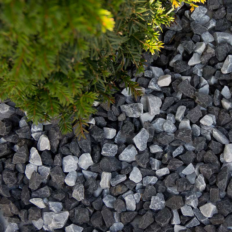 Zebra split | Jouwtuinwinkel.nl.