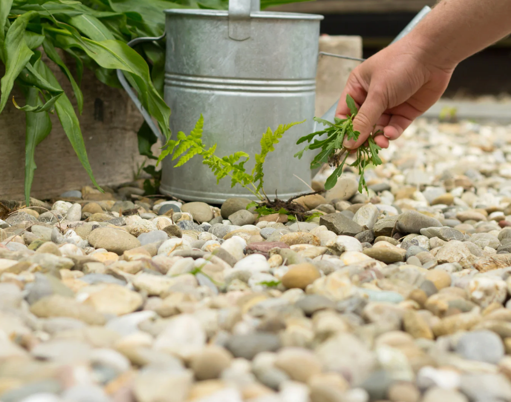 Welke kleur grind past bij een moderne tuin?