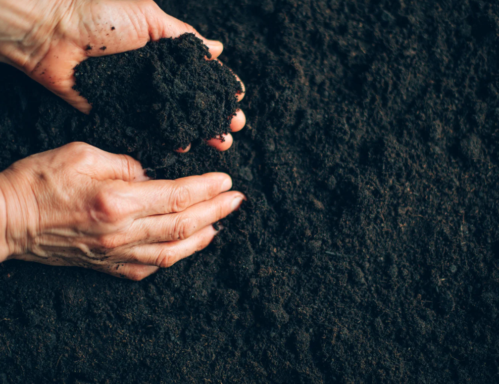 Wat is zwarte grond?