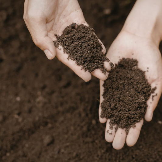 Zwarte grond van JouwTuinWinkel, hoogwaardige tuingrond voor optimale plantengroei en gezonde tuinen