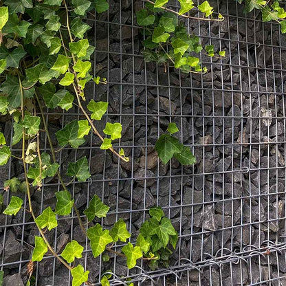 Basalt breuksteen