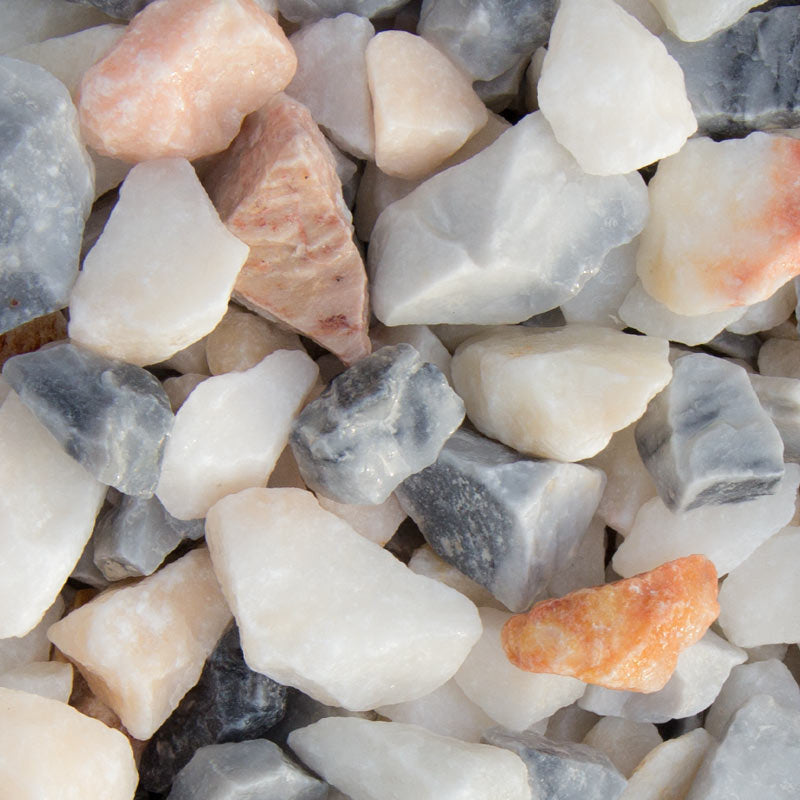 Frozen pink split |  Jouwtuinwinkel.nl.