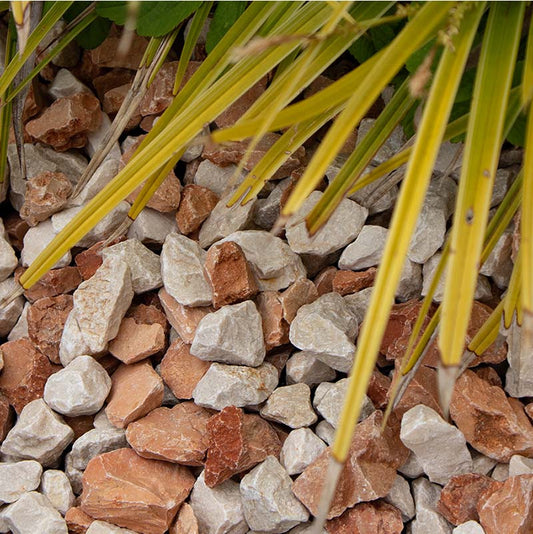Mediterranea split