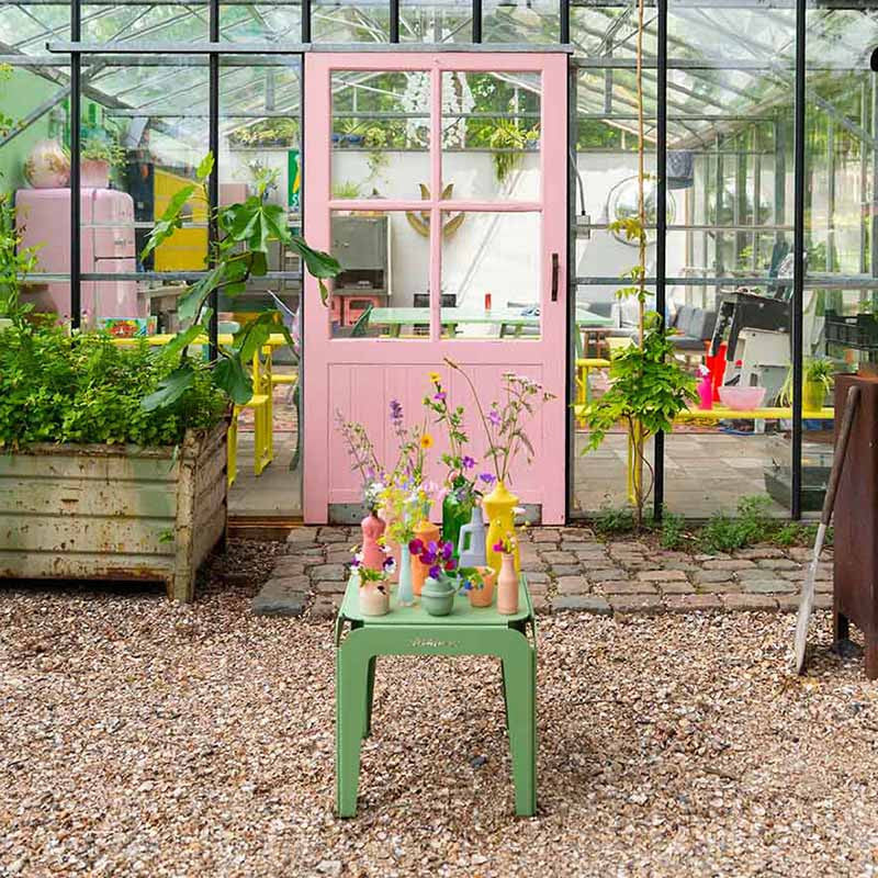 Noordzeeschelpen |  Jouwtuinwinkel.nl.