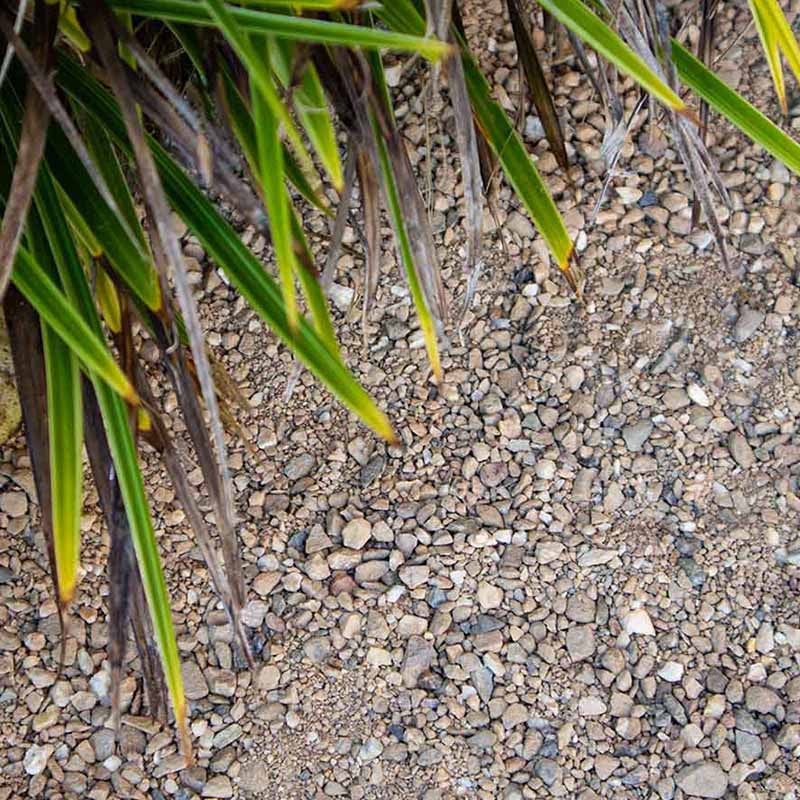 Achterhoeks padvast split |  Jouwtuinwinkel.nl.