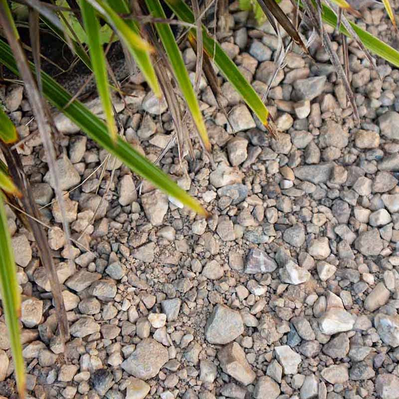 Achterhoeks padvast split |  Jouwtuinwinkel.nl.