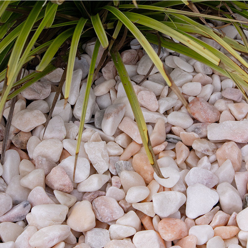 Rosa Milano grind |  Jouwtuinwinkel.nl.