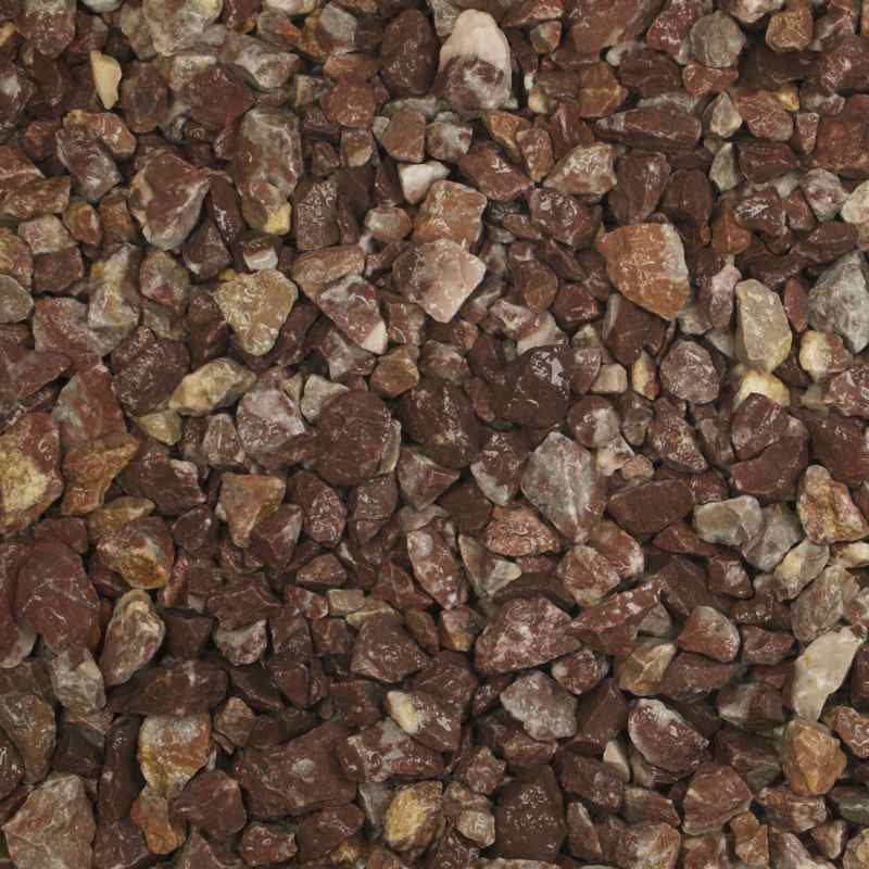 Rouge Belge split |  Jouwtuinwinkel.nl.