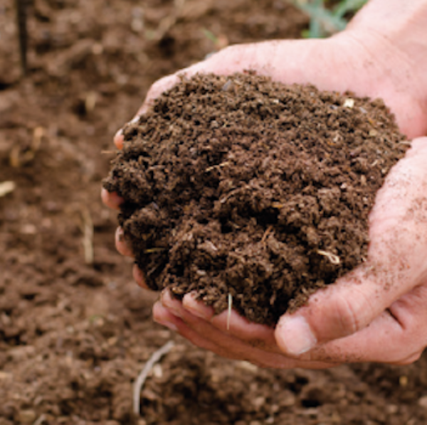 Teelaarde/ aanvulgrond |  Jouwtuinwinkel.nl.