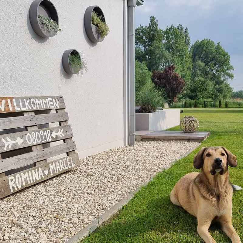 Yellow sun marble split |  Jouwtuinwinkel.nl.