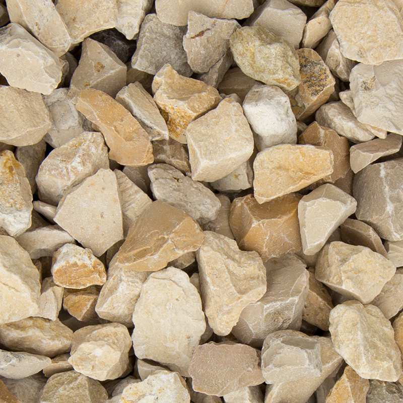 Yellow sun split |  Jouwtuinwinkel.nl.