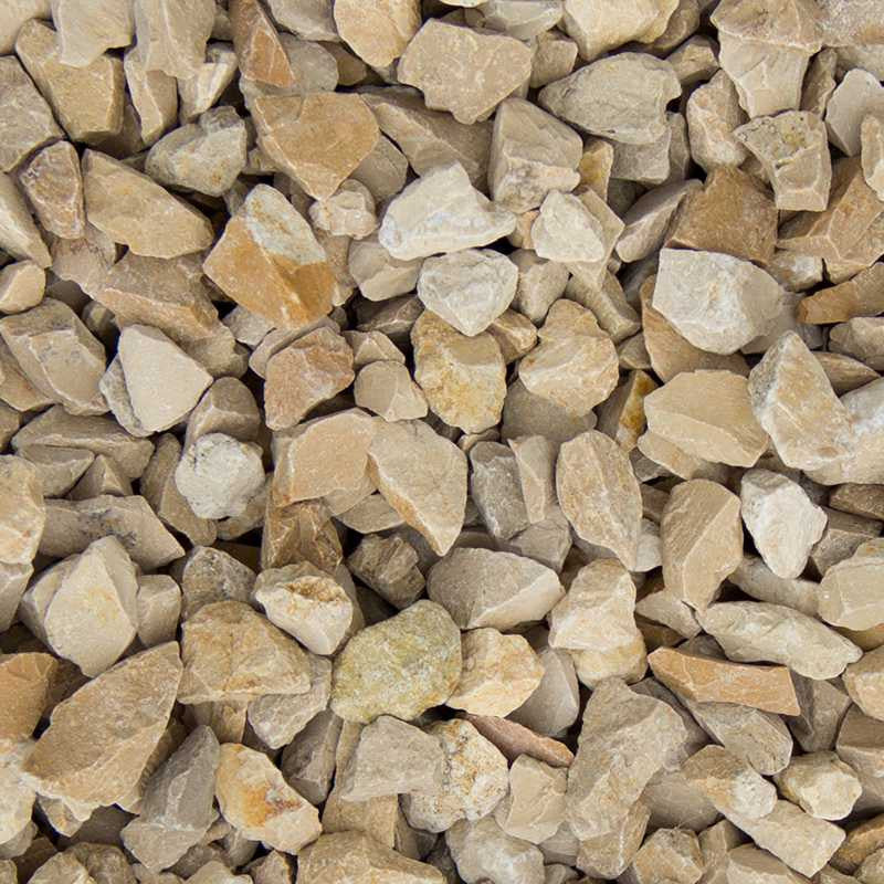 Yellow sun split |  Jouwtuinwinkel.nl.