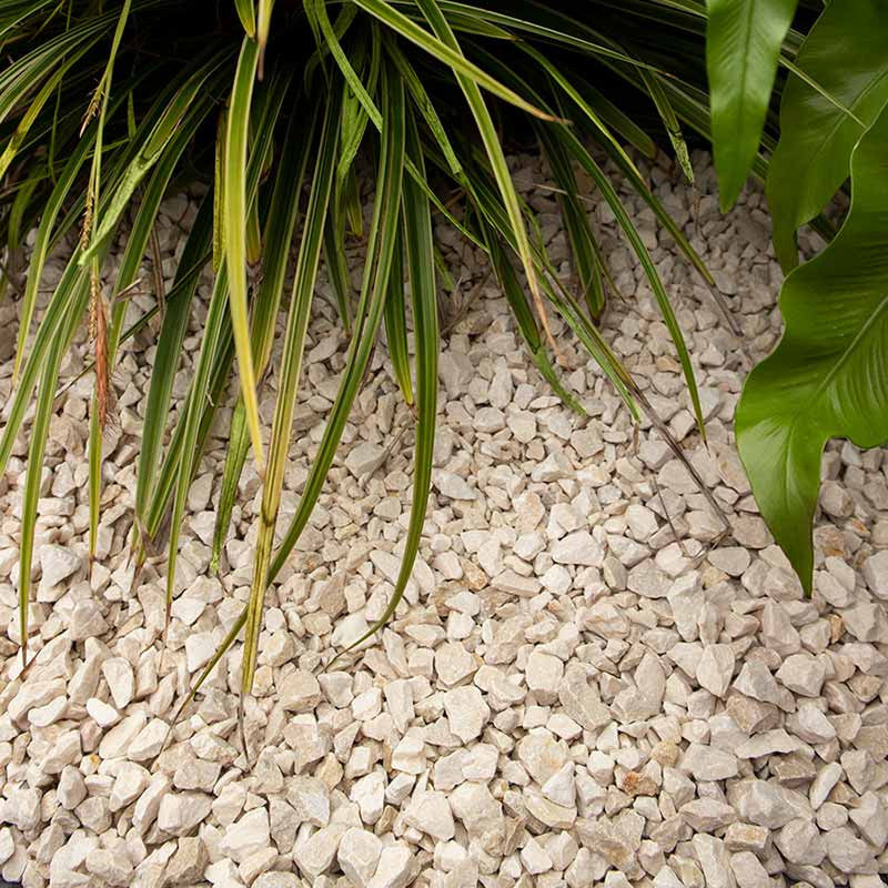 Yellow sun split |  Jouwtuinwinkel.nl.